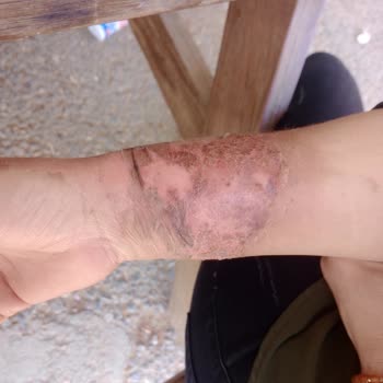 Schafer Çaycıda Güven Sarsan Deneyim