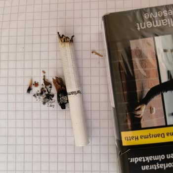 Sigara Paketlerinde Odun Parçası Sorunu