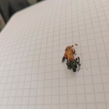 Sigara Paketlerinde Odun Parçası Sorunu