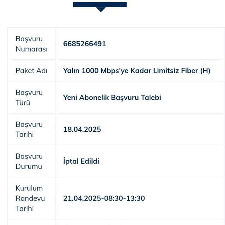 Online Kampanya Başvurusunda Yaşanan Sorunlar