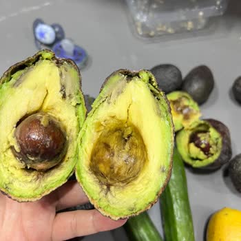 Çürük Avokadolar Ve İletişimsizlik Sorunu