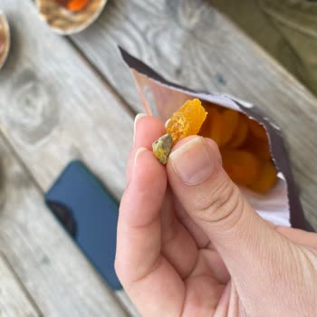 Çerezya Kuru Kayısıda Taş Şoku