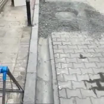 İstanbul Büyükşehir Belediyesi Acil Müdahale Edilsin!