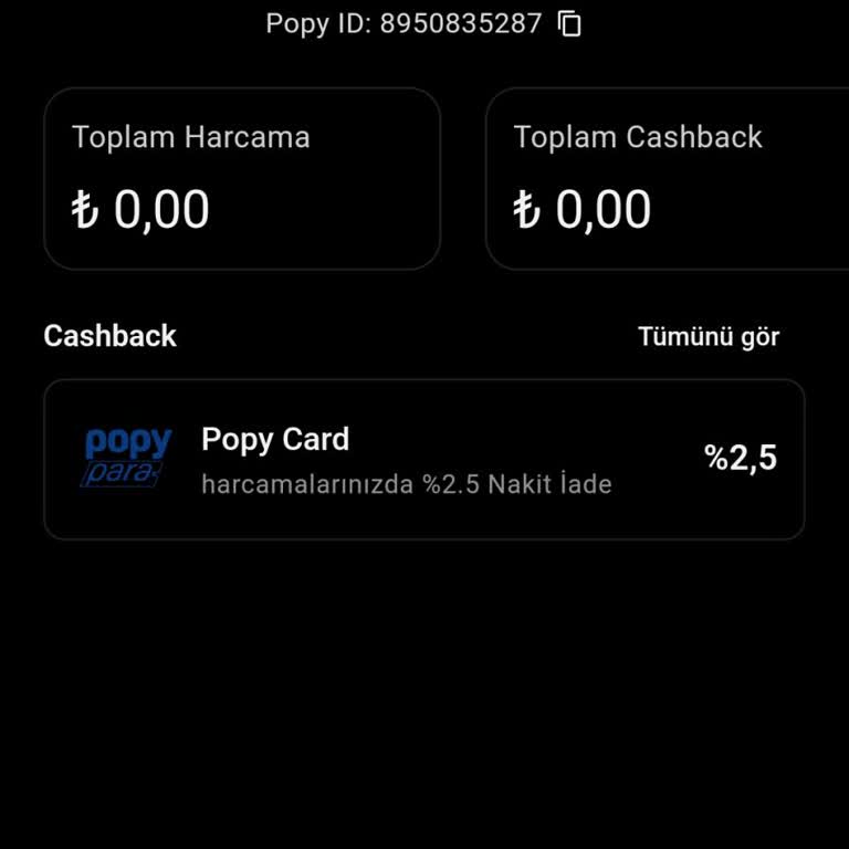 Hesap Yükseltme Sorunu Ve Para Yatırılmaması