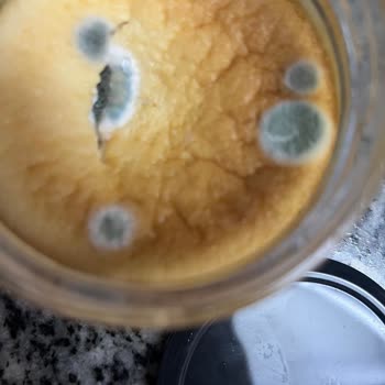 Şok Marketler'den Alınan Bozuk Tatlı Sorunu