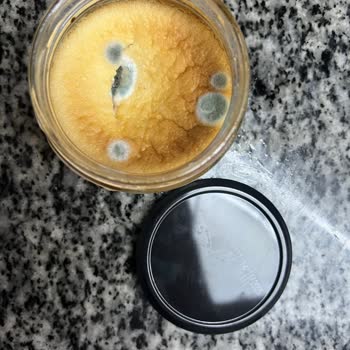 Şok Marketler'den Alınan Bozuk Tatlı Sorunu