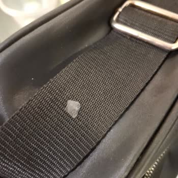 Factory İçecek Cuk Basıl Seed Küflü Çıkması