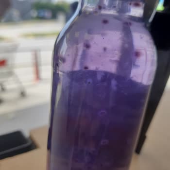 Factory İçecek Cuk Basıl Seed Küflü Çıkması