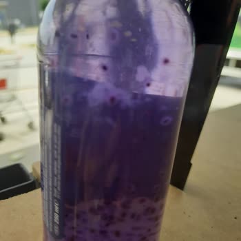 Factory İçecek Cuk Basıl Seed Küflü Çıkması