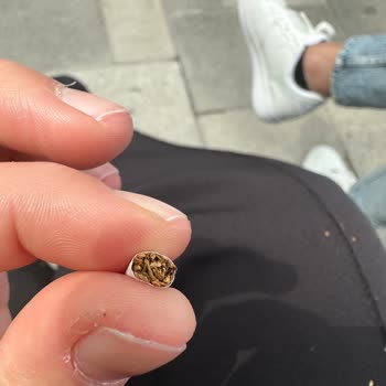 Sigara İçinde Odun Parçası Şoku