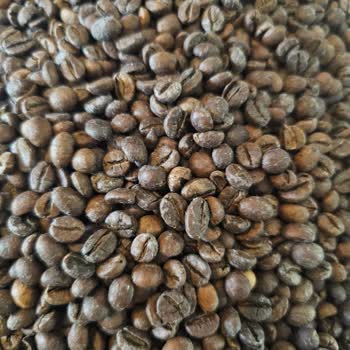 Küflü Ve Sahte Kahve Şoku