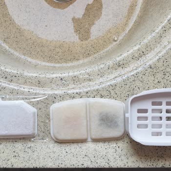 Kiwi Pets Su Çeşmesi İçin Yedek Filtre Sorunu