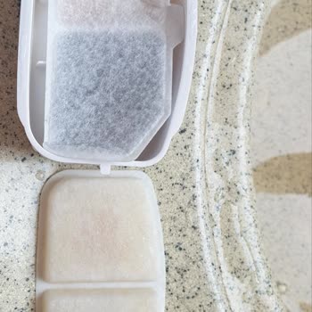 Kiwi Pets Su Çeşmesi İçin Yedek Filtre Sorunu