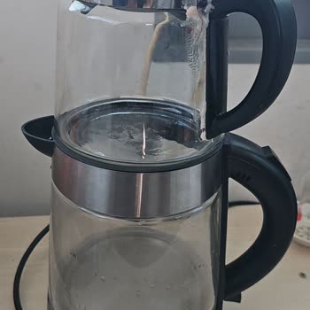 Kiwi Çaycının Sap Sorunu İle Hayal Kırıklığı