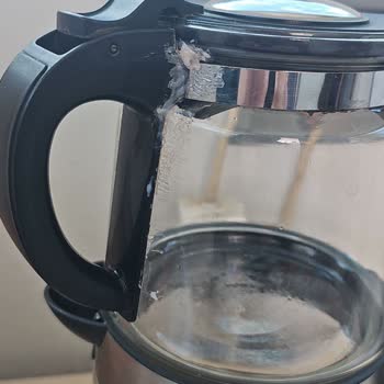 Kiwi Çaycının Sap Sorunu İle Hayal Kırıklığı