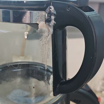 Kiwi Çaycının Sap Sorunu İle Hayal Kırıklığı