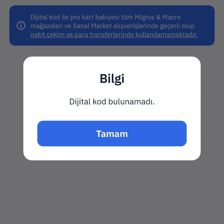 60 TL Money Dijital Bakiye Hatası