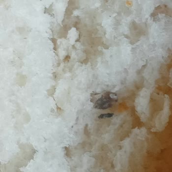 BİM'den Alınan Ekmekte Yabancı Cisim Şoku