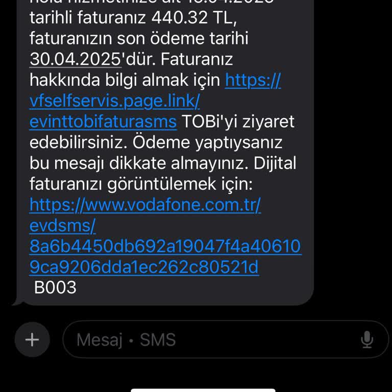 Kesintisiz İnternet Hayali: Vodafone'un Taahhüt Ve Nakil Sorunları