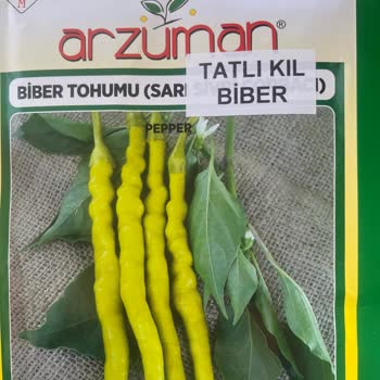 Patika Botanik Yanlış Ve Bozuk Tohum Gönderdiler