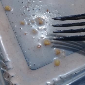 Tatlıköy Tatlıdan Çıkan Kıl Şoku