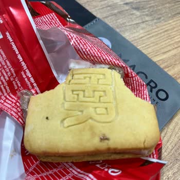 Nugger Dondurmasında Hijyen Sorunu: Minik Sinek Şoku