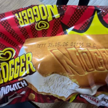 Nugger Dondurmasında Hijyen Sorunu: Minik Sinek Şoku