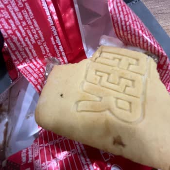 Nugger Dondurmasında Hijyen Sorunu: Minik Sinek Şoku