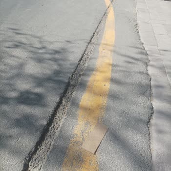 Tehlikeli Yol: Annemin Düşmesine Sebep Oldu