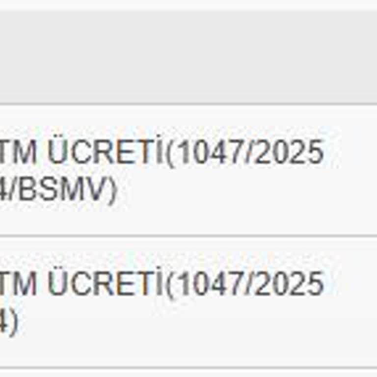 Euro Hesabında Beklenmedik Kesinti Sorunu
