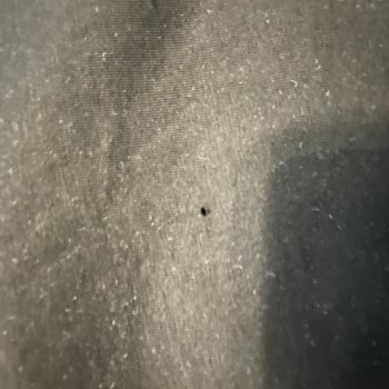 Kusurlu Ürün Değişiminde Zorluk