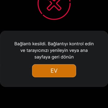 İkimisli Kazanç Oranı