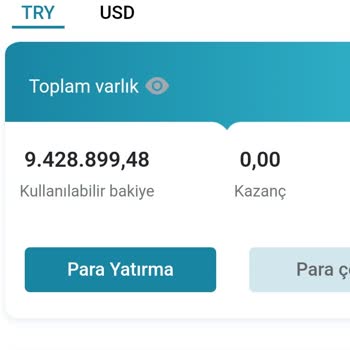 Yatırımda Hayal Kırıklığı: Beklenmedik Taahhütler Ve Çekim Zorlukları