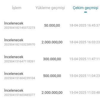 Yatırımda Hayal Kırıklığı: Beklenmedik Taahhütler Ve Çekim Zorlukları