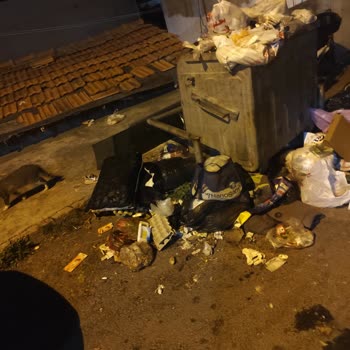 Çöpler Alınmıyor, Mahalle Pislik İçinde