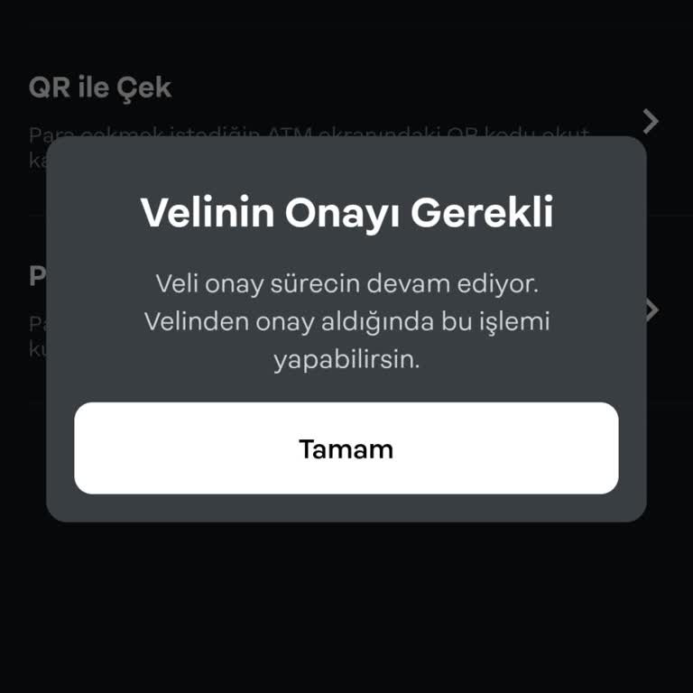 Papara'da Veli Onayı Sorunu: Paramı Nasıl Geri Alabilirim?