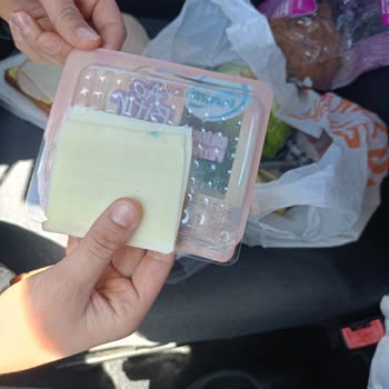 Marketten Alınan Peynirde Küflenme Sorunu