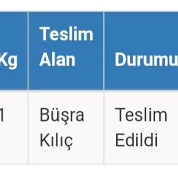 Kayıp Kargo: Teslim Edilmeyen Paket