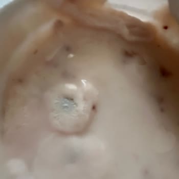 Küflü Yoğurt Ve İlgisiz Müşteri Hizmetleri