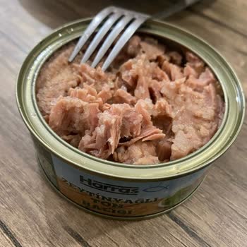 BİM Harras Marka Ton Balığında Şüpheli Kabarcıklar