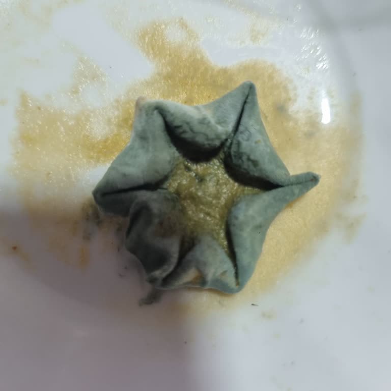 Beklenmedik Karşılaşma: Güvendiğim Markadan Gelen Şok