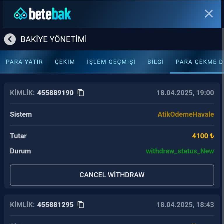 Betebak Güvenilmez Yatırım Platformu: Çekim Taleplerinde Sorun