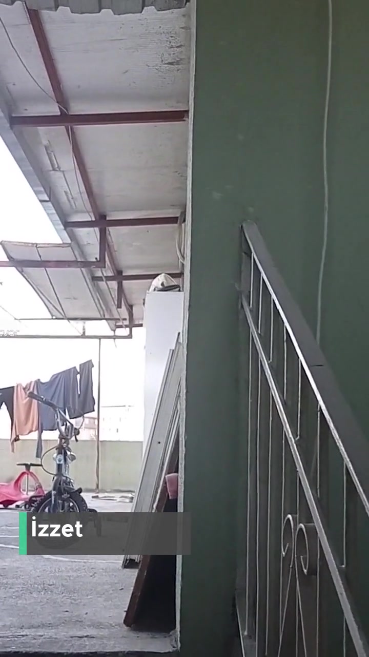 Sivrisinek İstilası İskenderun'un Kaderi videonun kapak resmi