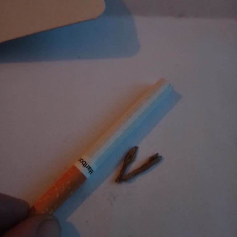 Marlboro'dan Çerçöp Dolu Sigara Şikayeti