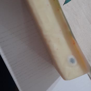 Torku Kaşar Peynirinde Küf Ve Kırmızı Noktalar