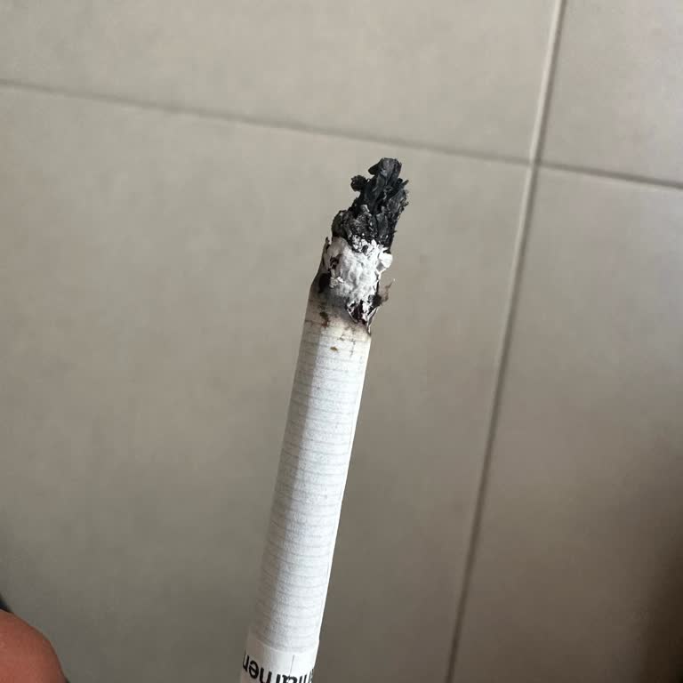 Parliament Midnight Blue'da Sert Malzeme Sorunu