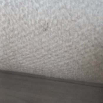 Kusurlu Koltuk Takımı Ve İlgisiz Müşteri Hizmetleri