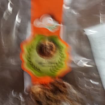 Bozuk Cennet Hurması Deneyimi