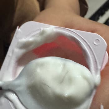 Dondurmada Yabancı Madde Şoku: Sağlığımız Tehlikede!