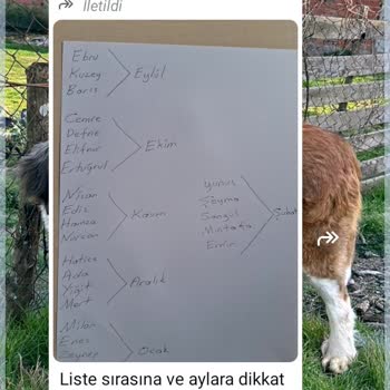 Öğretmenlerin A4 Kağıdı Talepleri